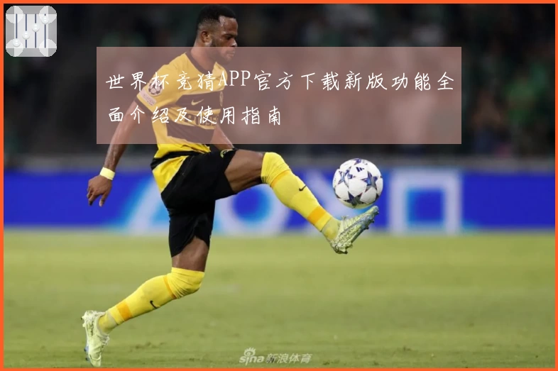 世界杯竞猜APP官方下载新版功能全面介绍及使用指南