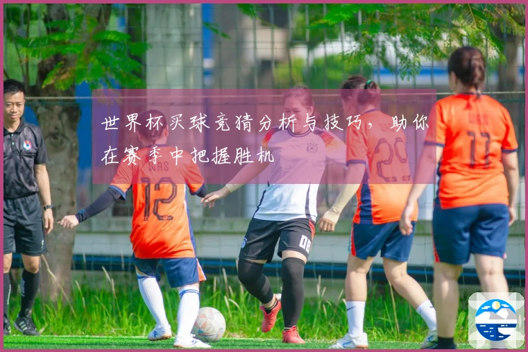 世界杯买球竞猜分析与技巧，助你在赛季中把握胜机