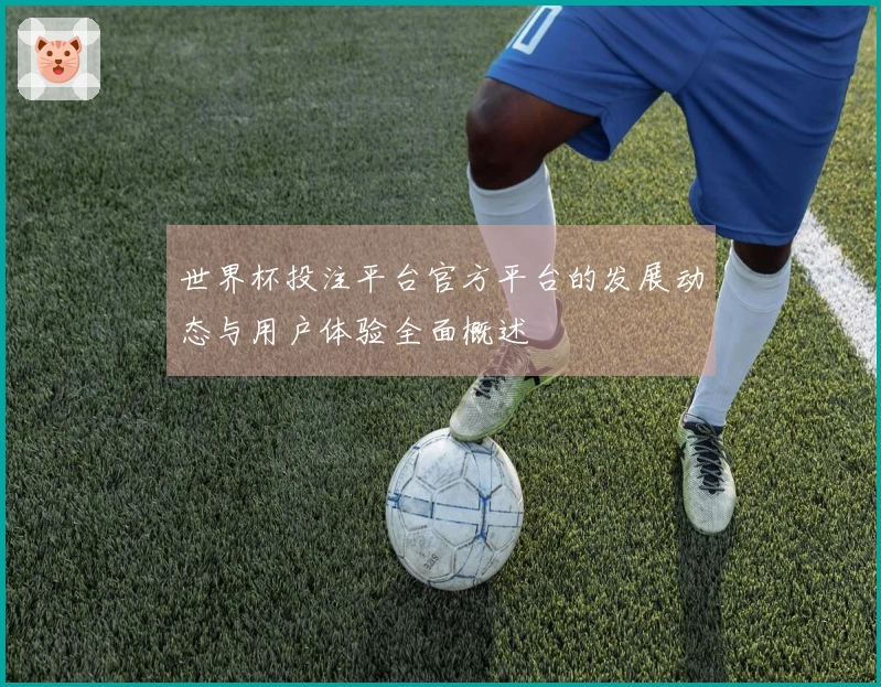 世界杯投注平台官方平台的发展动态与用户体验全面概述