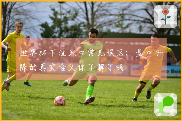 世界杯下注入口常见误区：盘口升降的真实含义你了解了吗