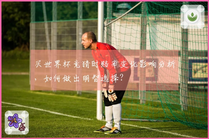 买世界杯竞猜时赔率变化影响分析，如何做出明智选择？