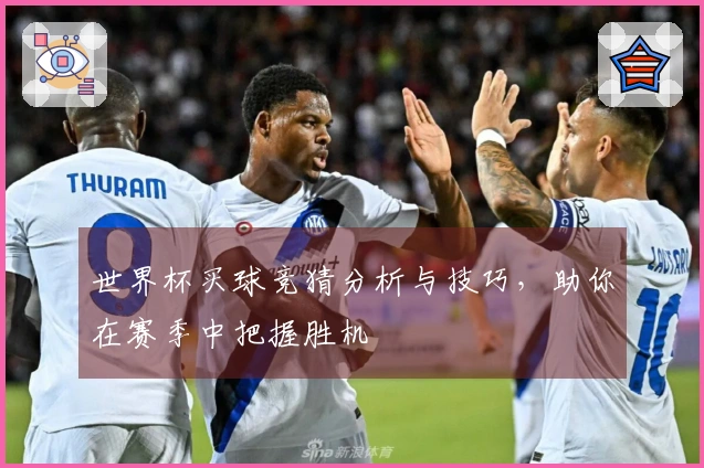 世界杯买球竞猜分析与技巧，助你在赛季中把握胜机