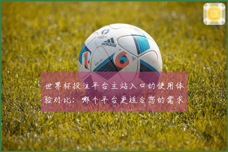 世界杯投注平台主站入口的使用体验对比：哪个平台更适合您的需求？