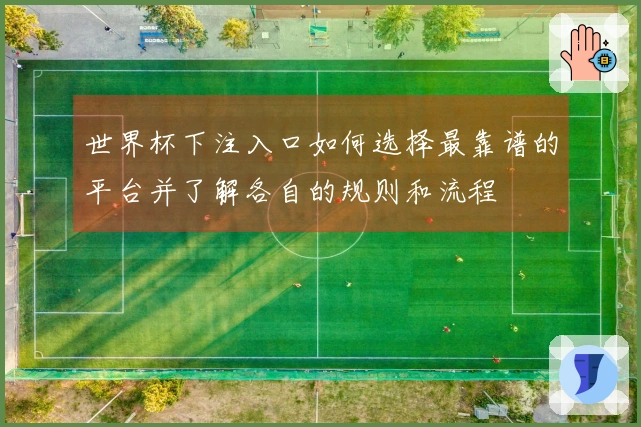世界杯下注入口如何选择最靠谱的平台并了解各自的规则和流程