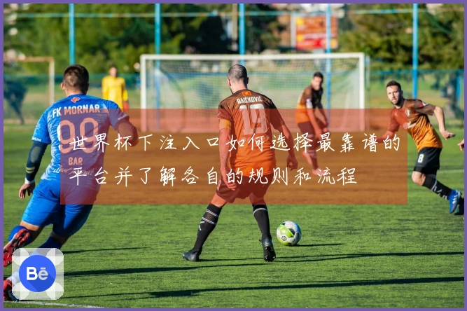 世界杯下注入口如何选择最靠谱的平台并了解各自的规则和流程