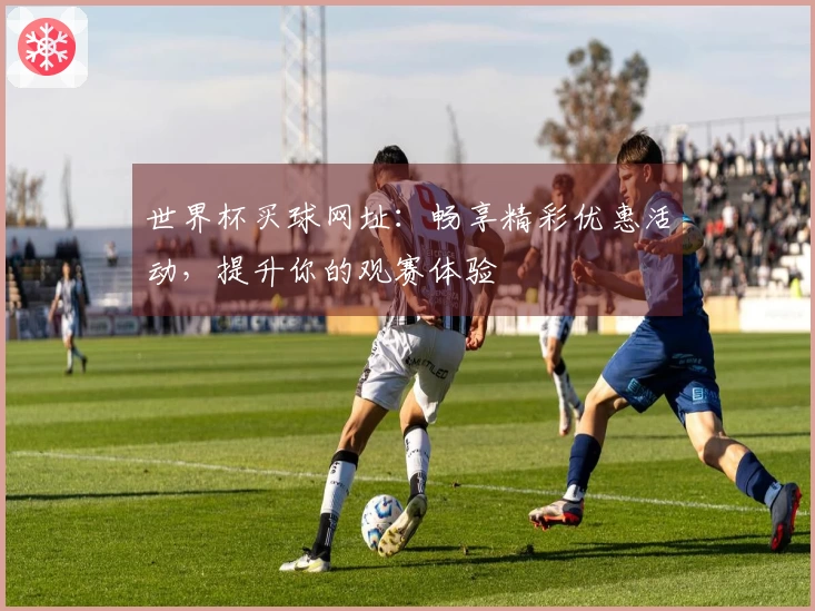 世界杯买球网址：畅享精彩优惠活动，提升你的观赛体验