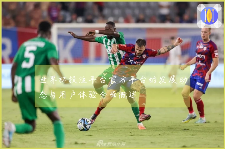 世界杯投注平台官方平台的发展动态与用户体验全面概述