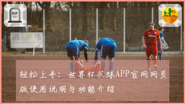 轻松上手：世界杯买球APP官网网页版使用说明与功能介绍