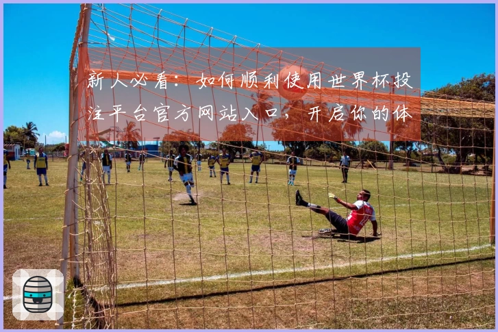 新人必看：如何顺利使用世界杯投注平台官方网站入口，开启你的体育直播之旅